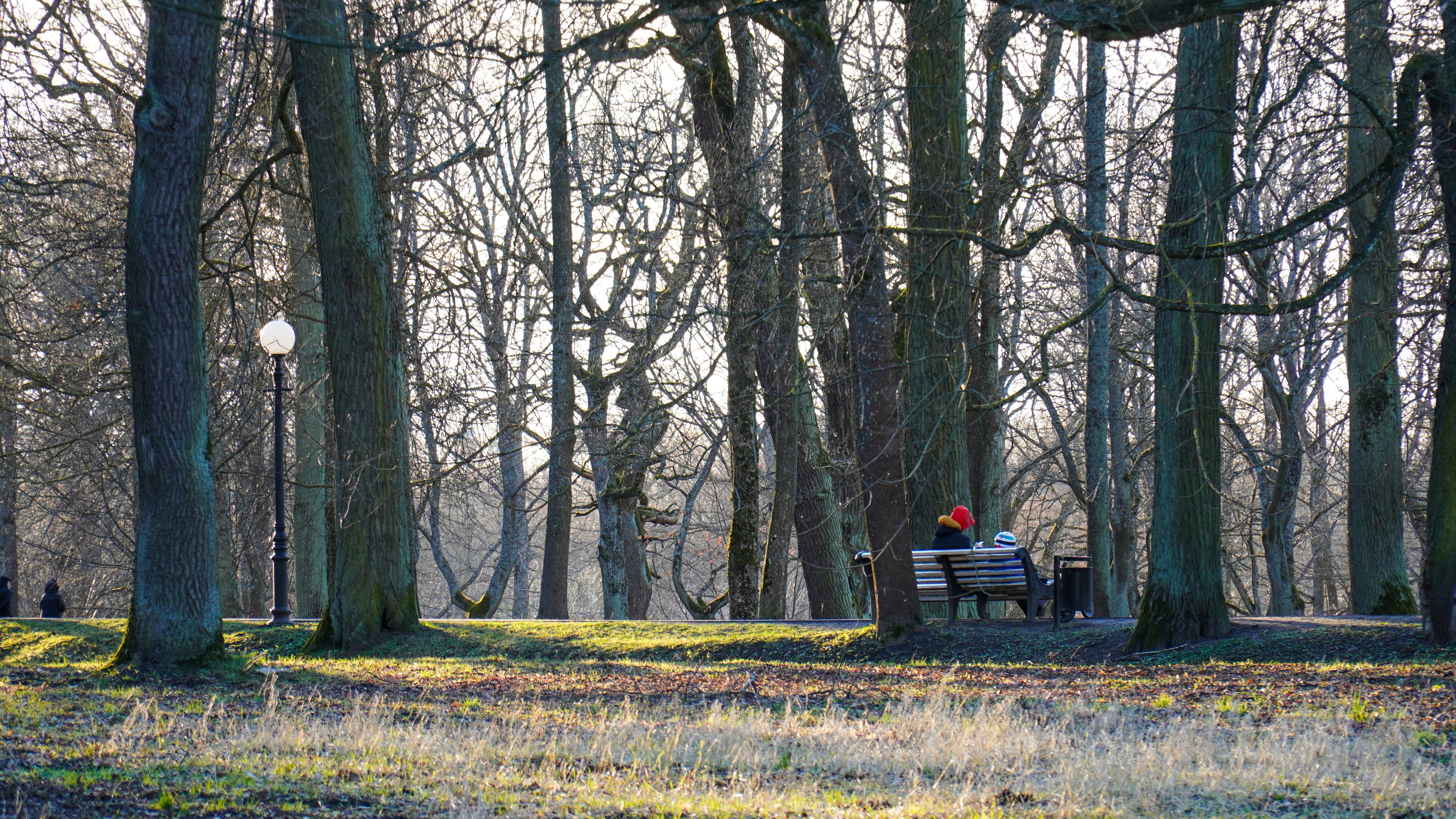 Photo by ilja_nedilko