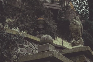 Wise Owl