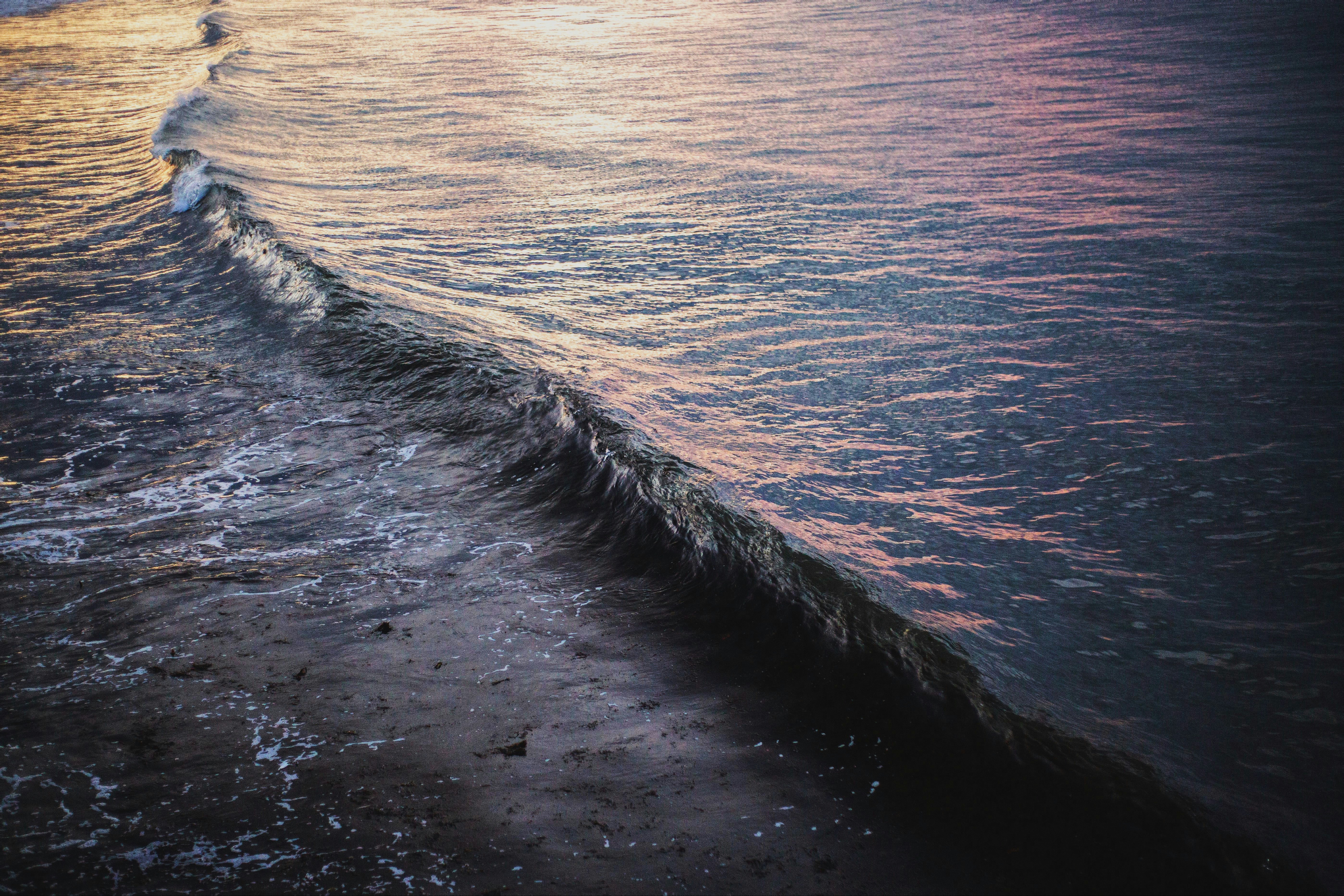 Photo by giorgiotrovato