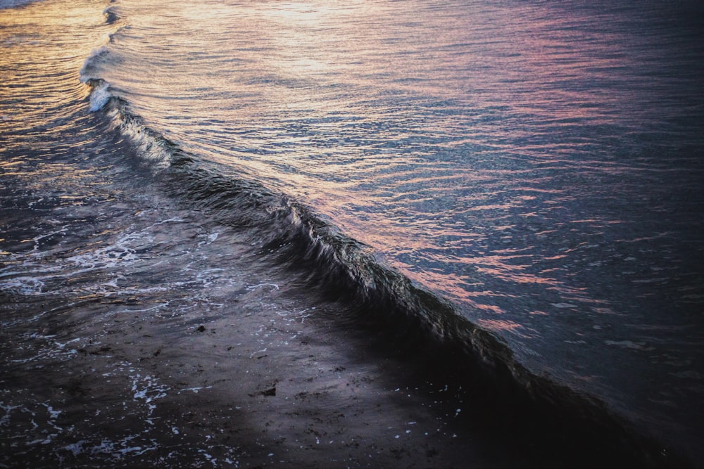 body of water during daytime