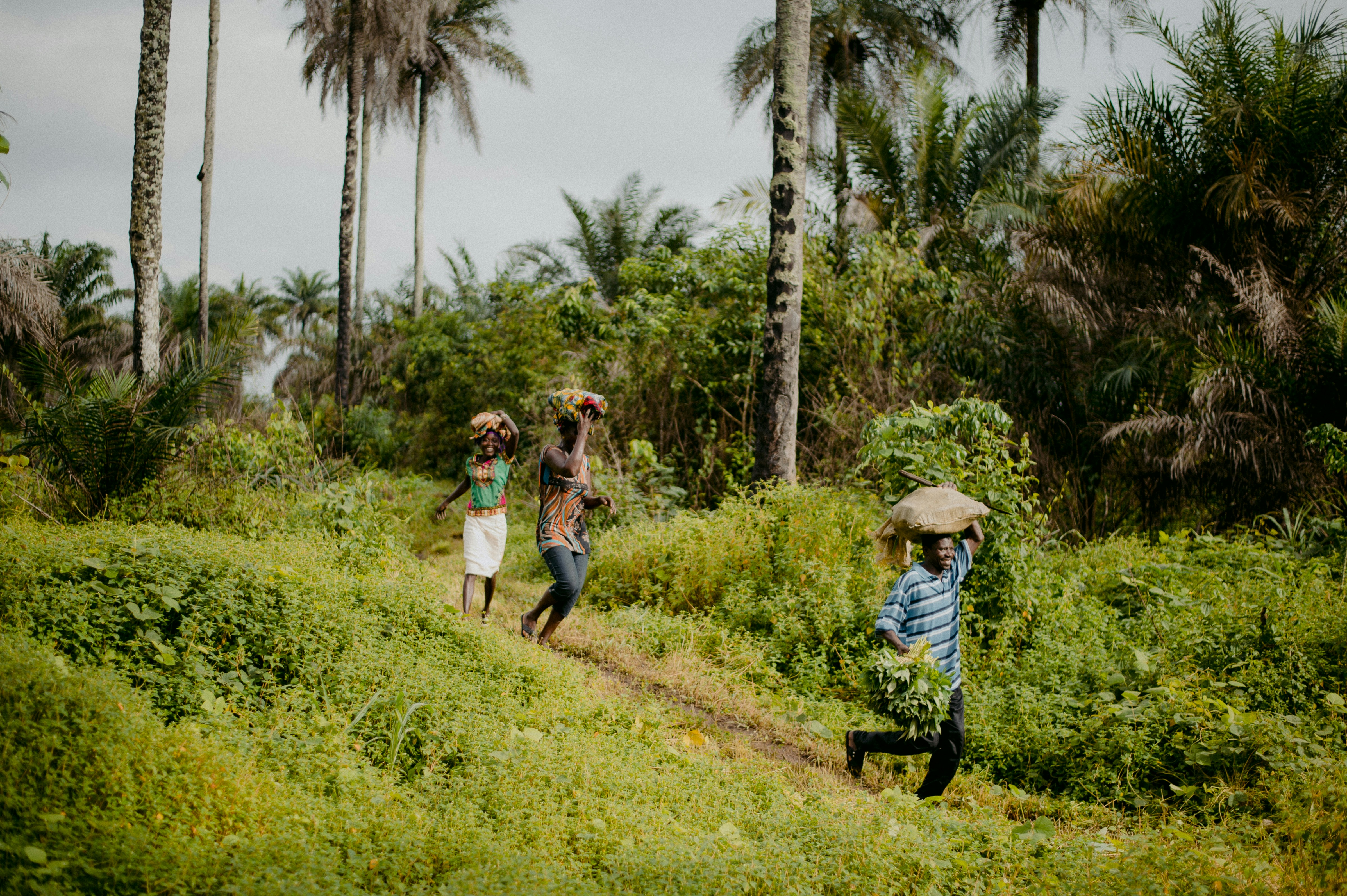 Photo by anniespratt