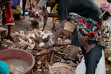 Fresh cassava roots freshly harvested in a rural farm field.