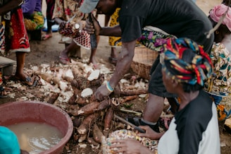 People are gathered around, preparing large tubers of cassava. The scene appears lively and communal, with vibrant clothing indicating cultural significance. A large basin filled with water is nearby, possibly for washing the cassava.