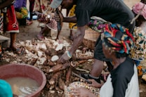 People are gathered around, preparing large tubers of cassava. The scene appears lively and communal, with vibrant clothing indicating cultural significance. A large basin filled with water is nearby, possibly for washing the cassava.