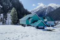 A snow-covered landscape with a green-roofed building, surrounded by tall evergreen trees and majestic, snow-capped mountains in the background. The building has multiple sections with large windows and is labeled as 'HOTEL ALPINE'. The scene conveys a serene winter setting.
