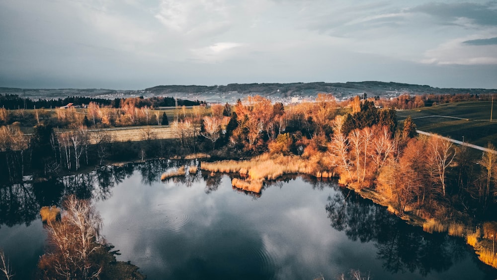 brown trees beside river under cloudy sky during daytime