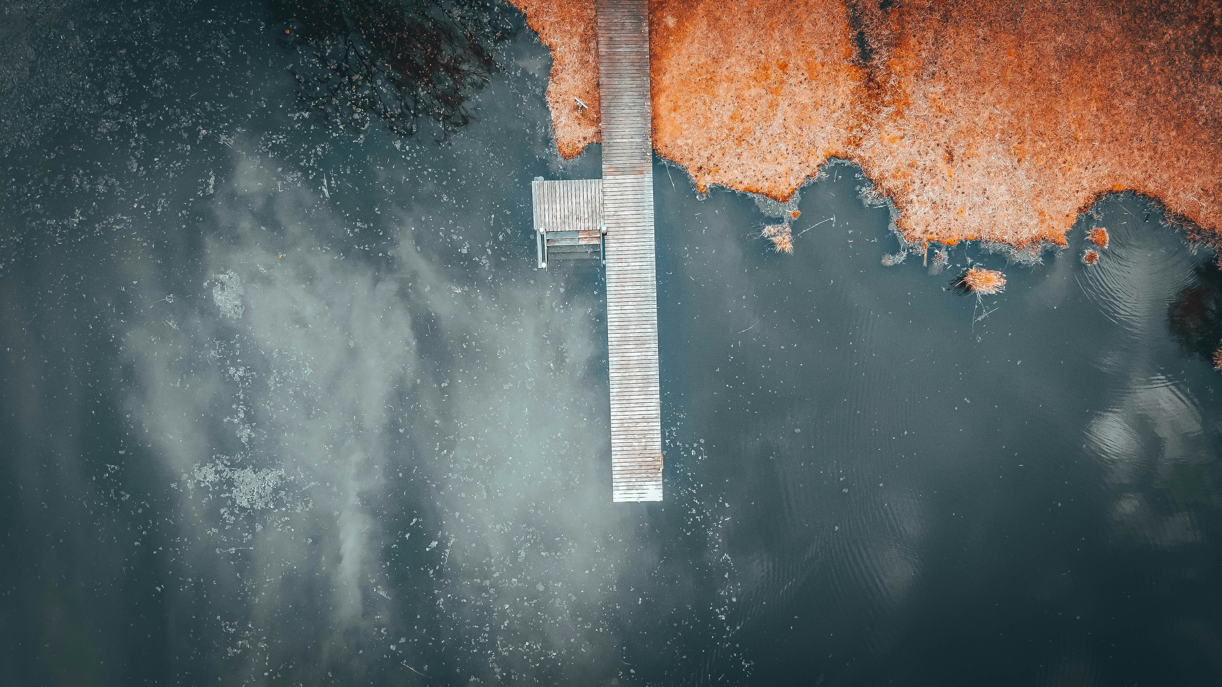 Photo by janoschphotos