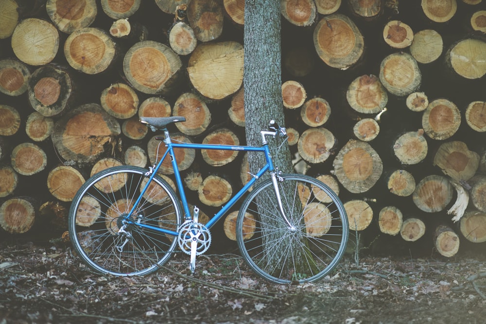 Bicicleta azul y negra al lado del tronco de árbol marrón