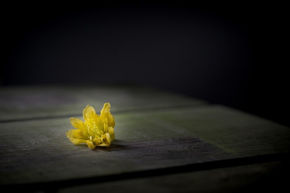 茶色の木製のテーブルに黄色い花