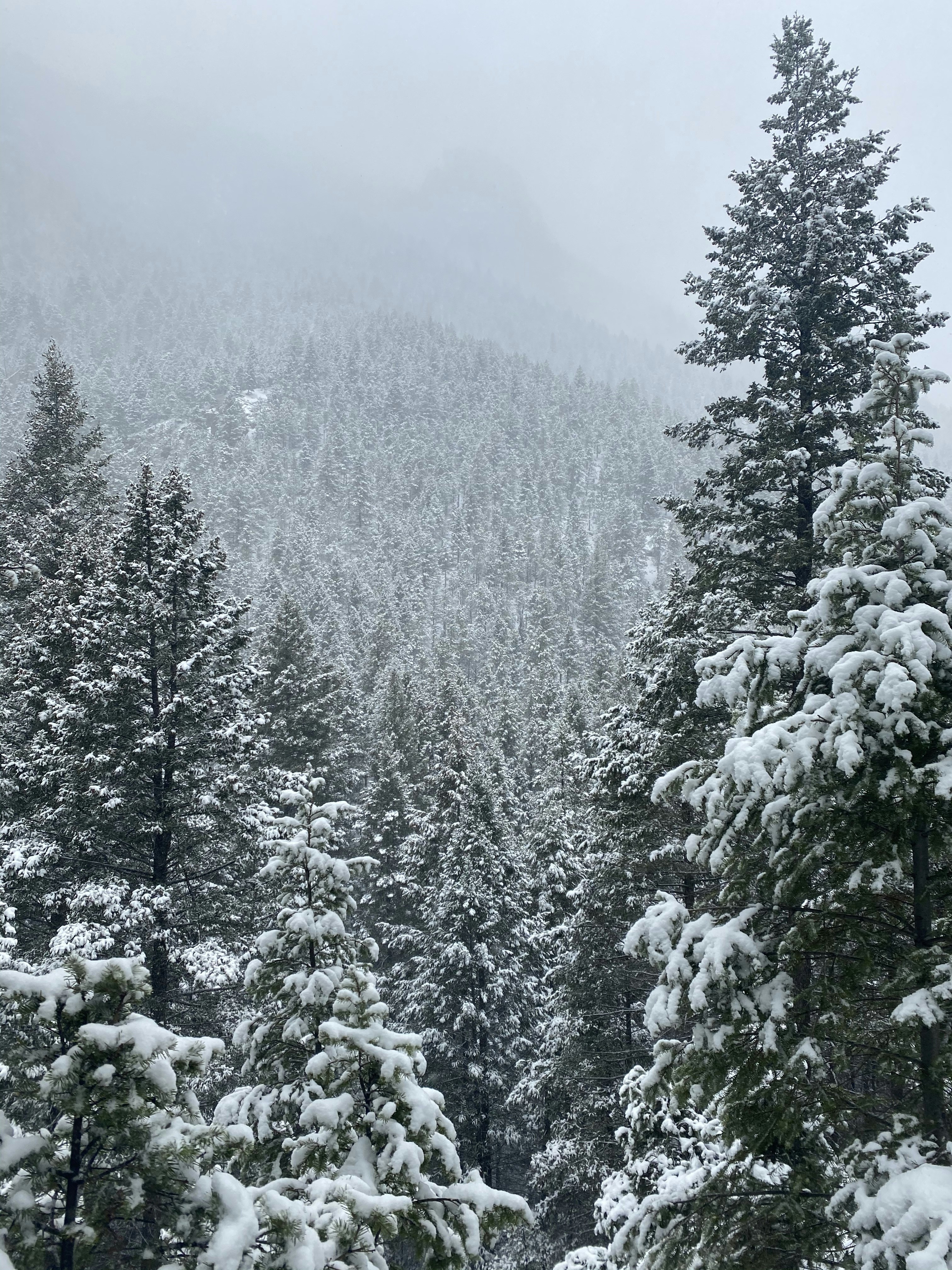 Photo by laitonbarbo