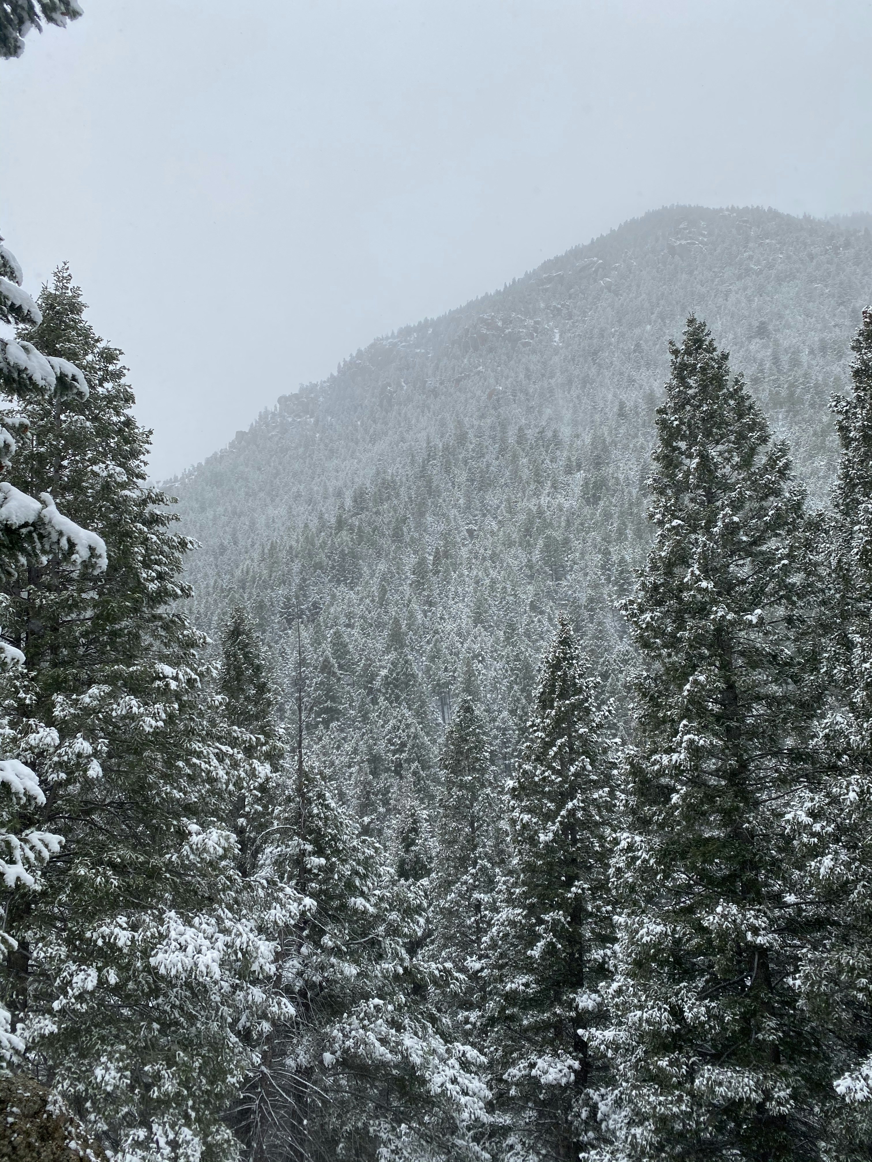 Photo by laitonbarbo