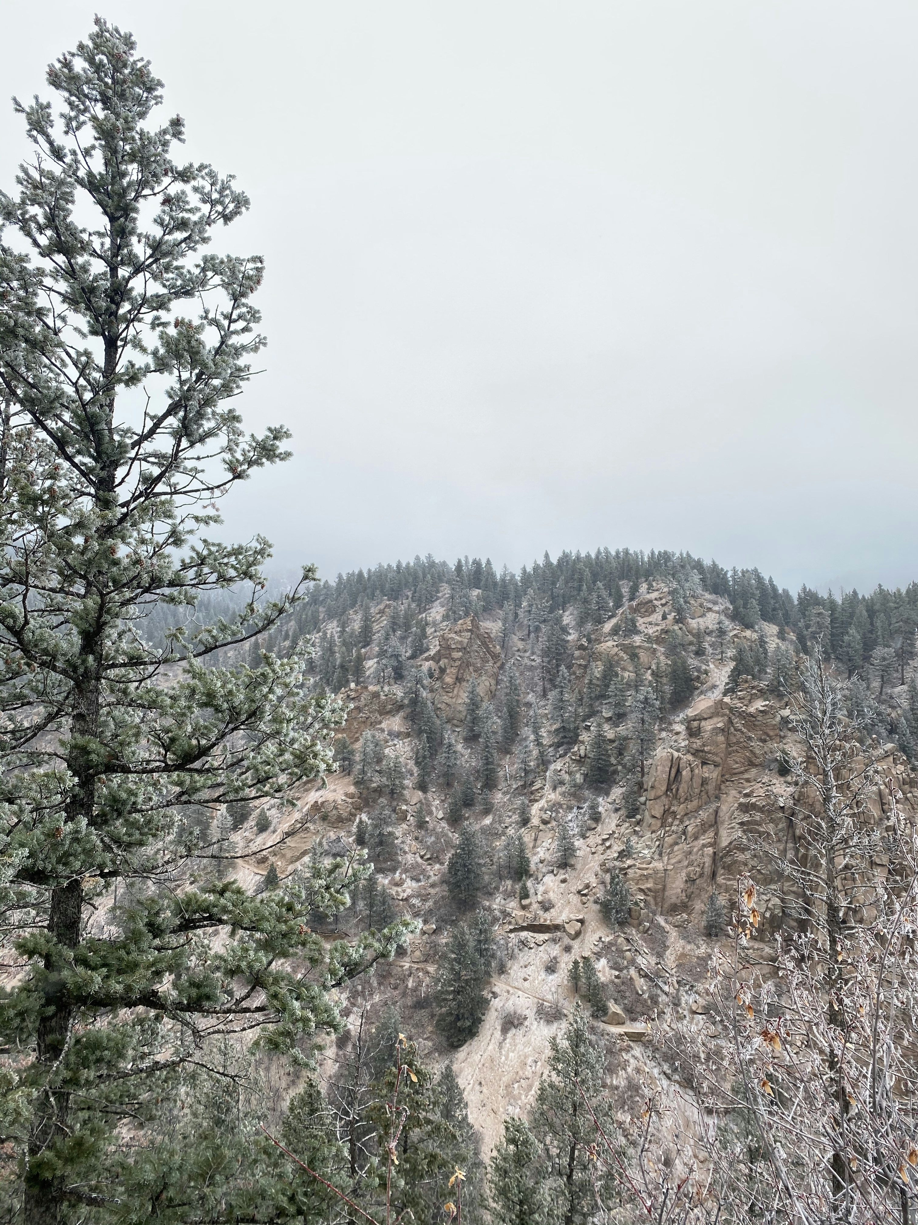 Photo by laitonbarbo