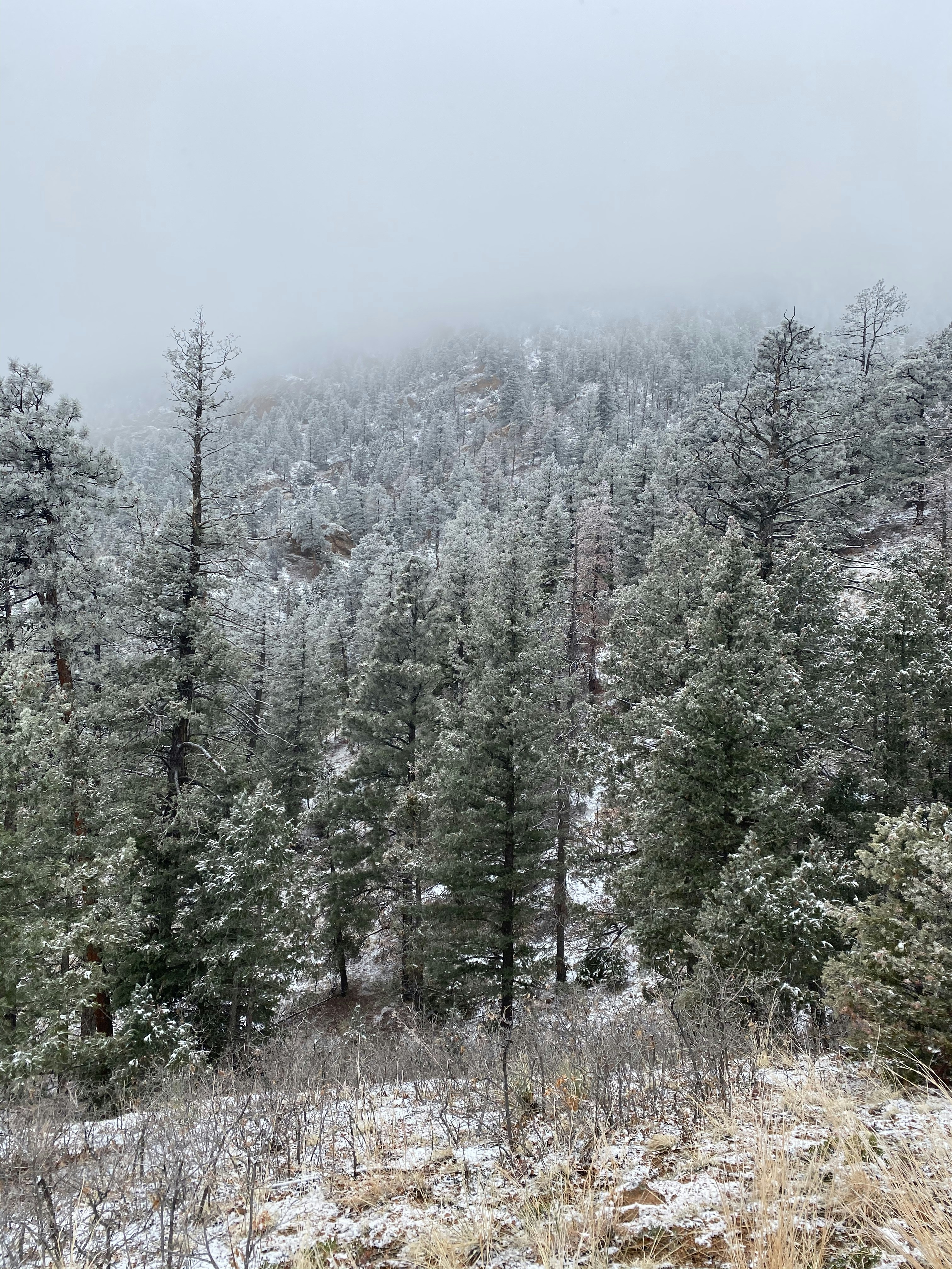 Photo by laitonbarbo