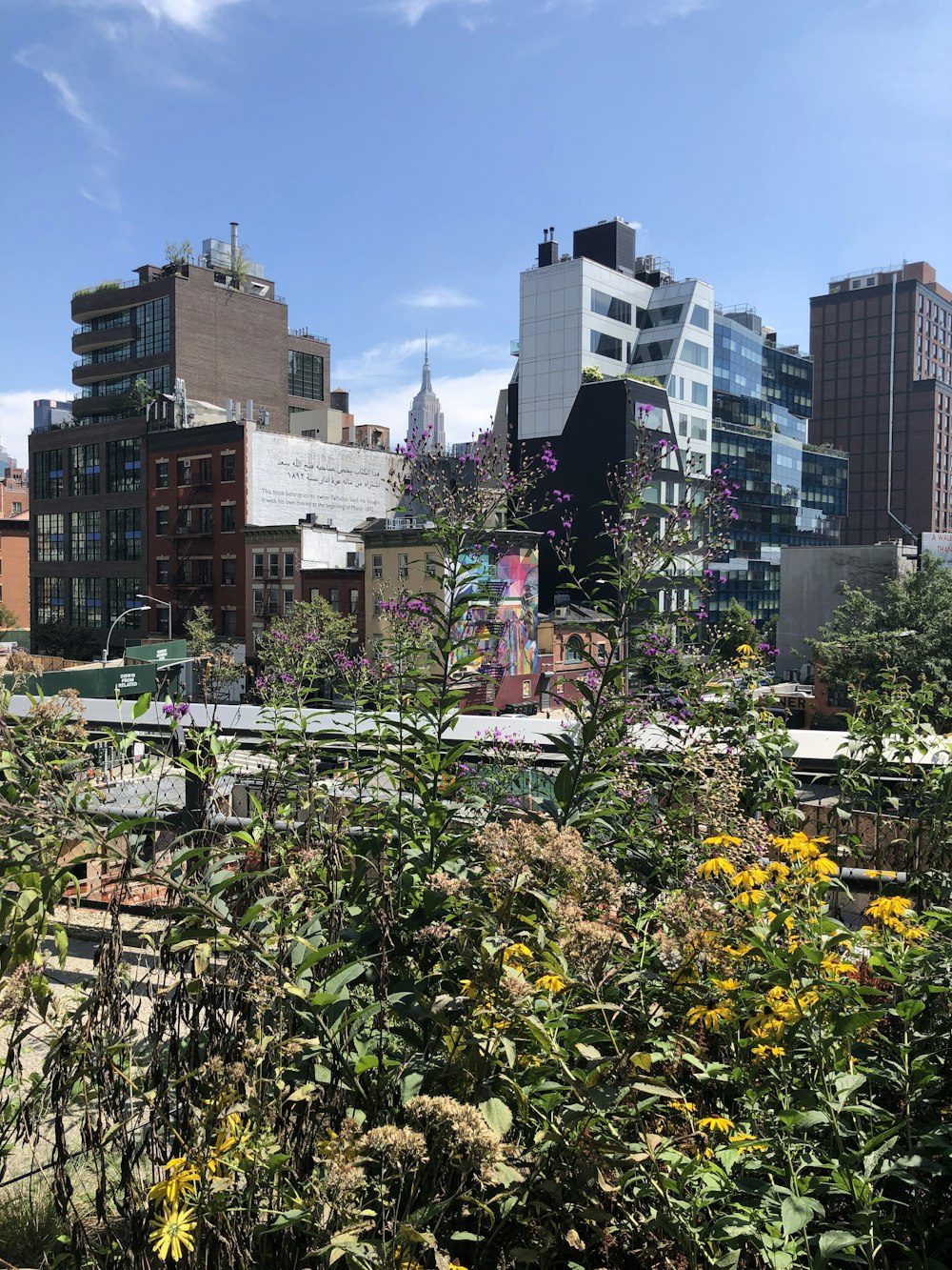 green plants near city buildings during daytime