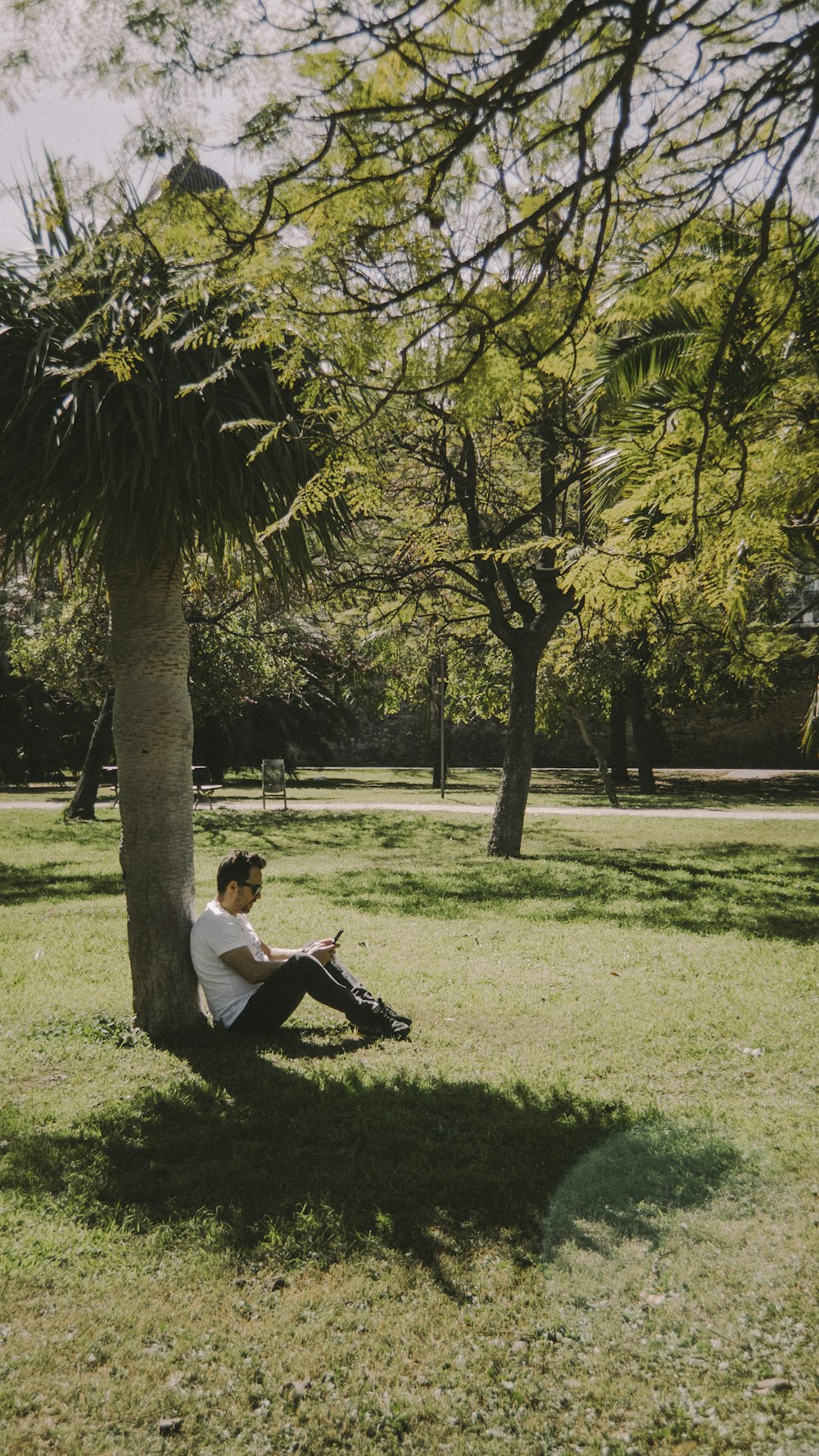 낮 동안 푸른 나무 근처의 푸른 잔디밭에 앉아 있는 흰색 티셔츠를 입은 남자
