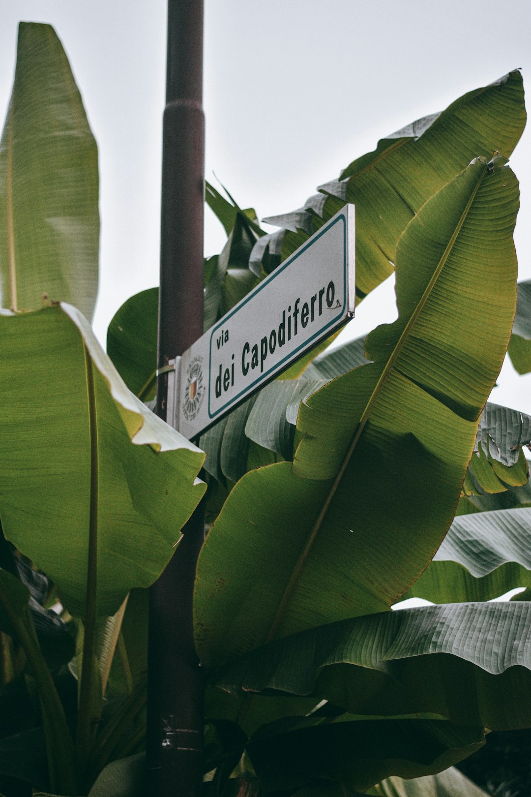 white and black UNK signage