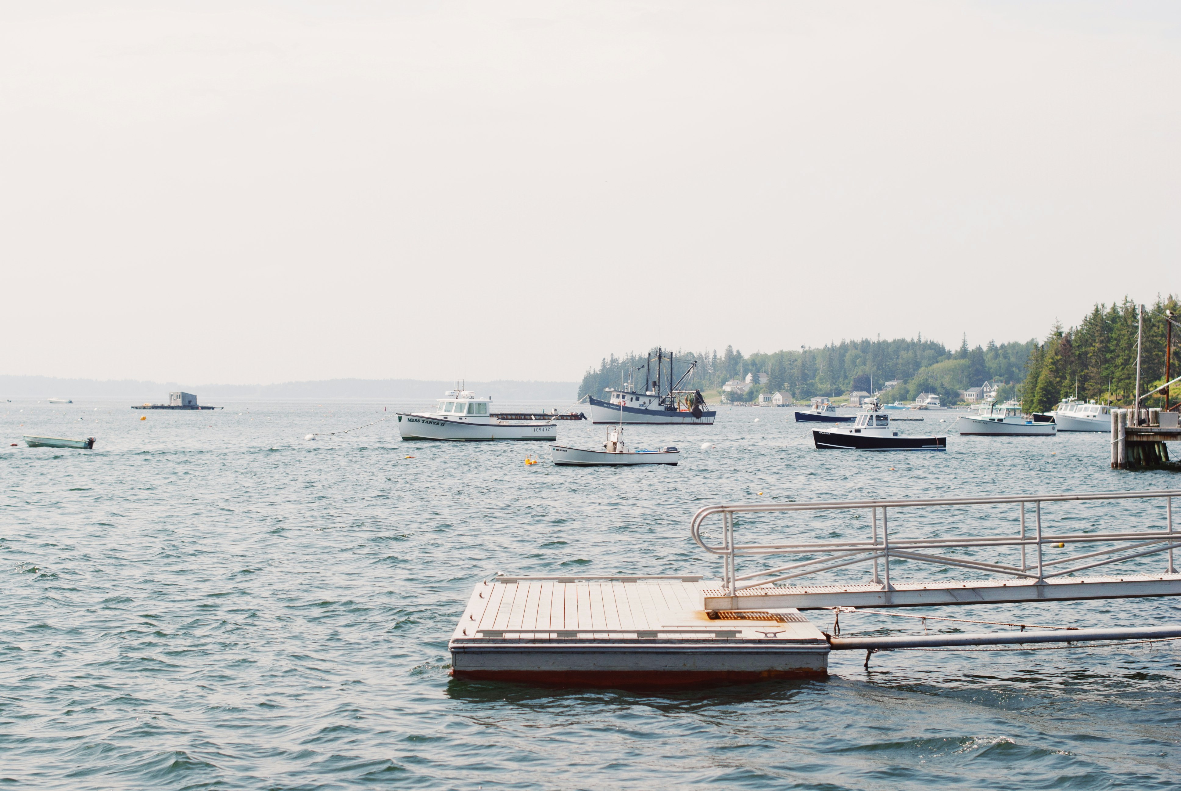 white and brown boat on sea during daytime