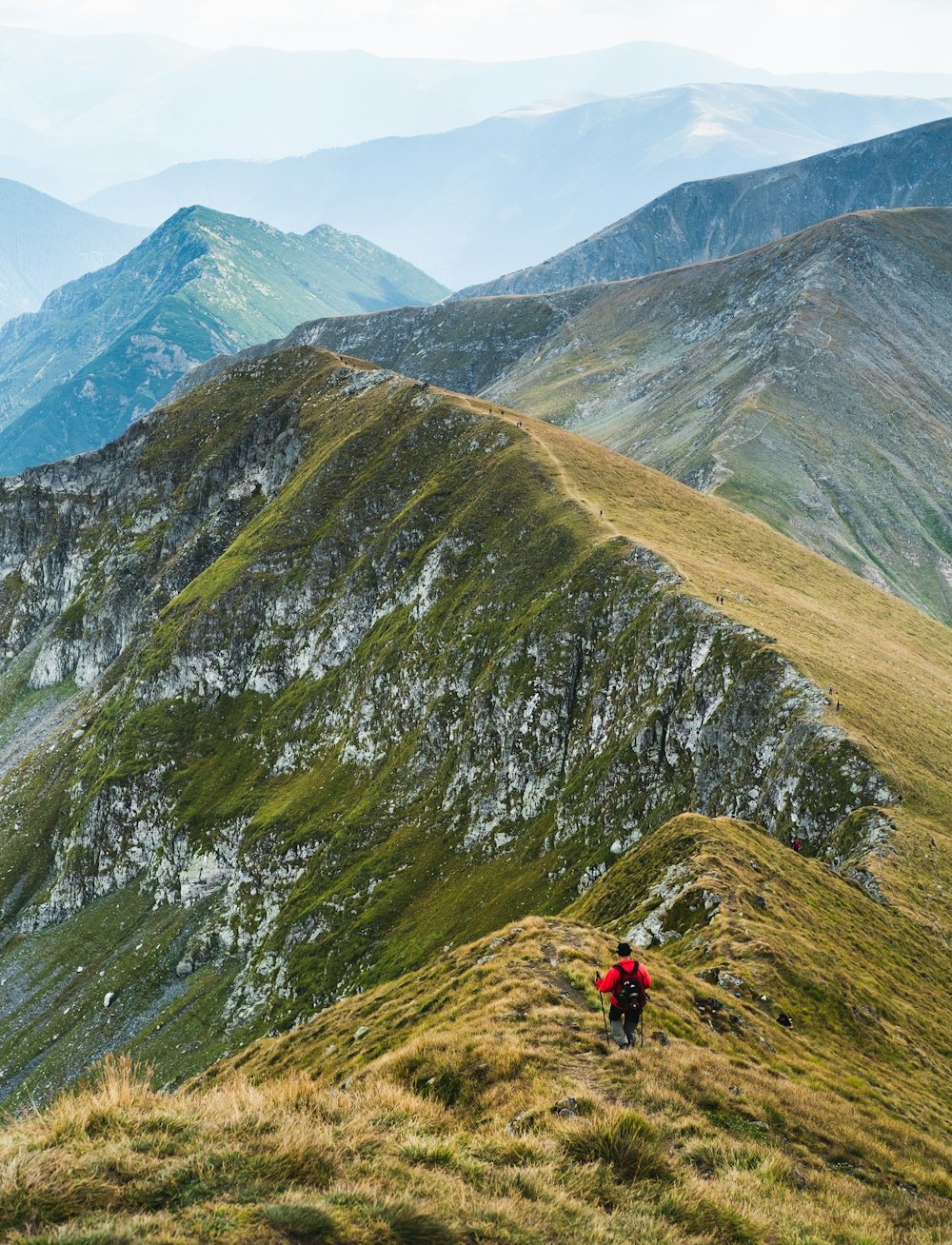 person in red jacket walking on green grass covered hill during daytime