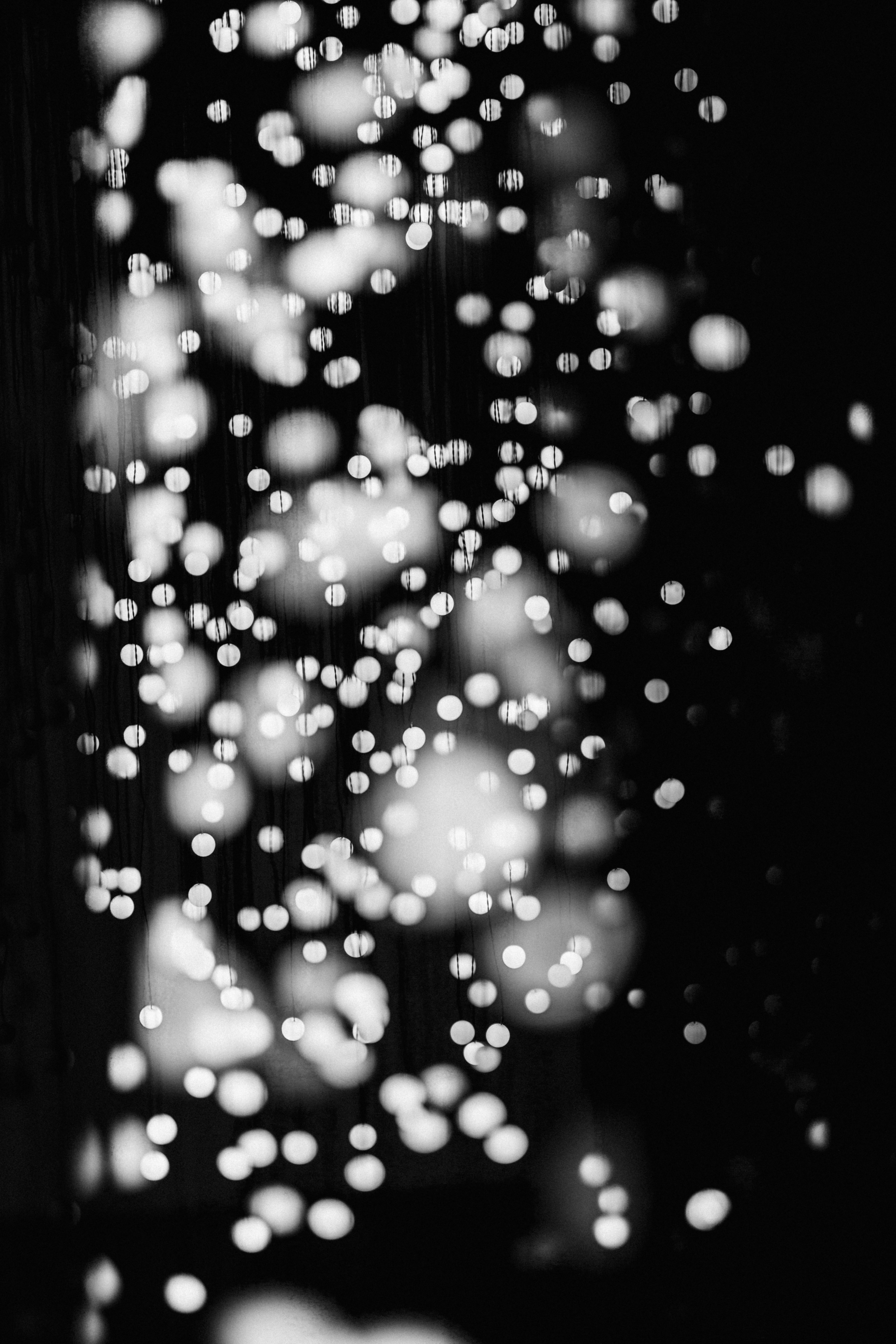 Photo by ninjason