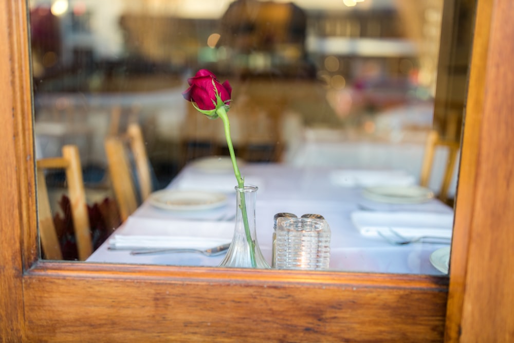 red rose in clear glass vase on brown wooden table