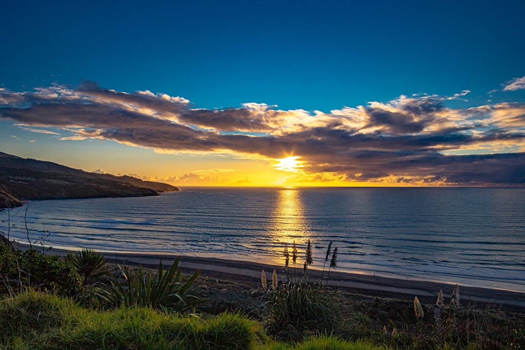 Shore photo spot Raglan Waihi