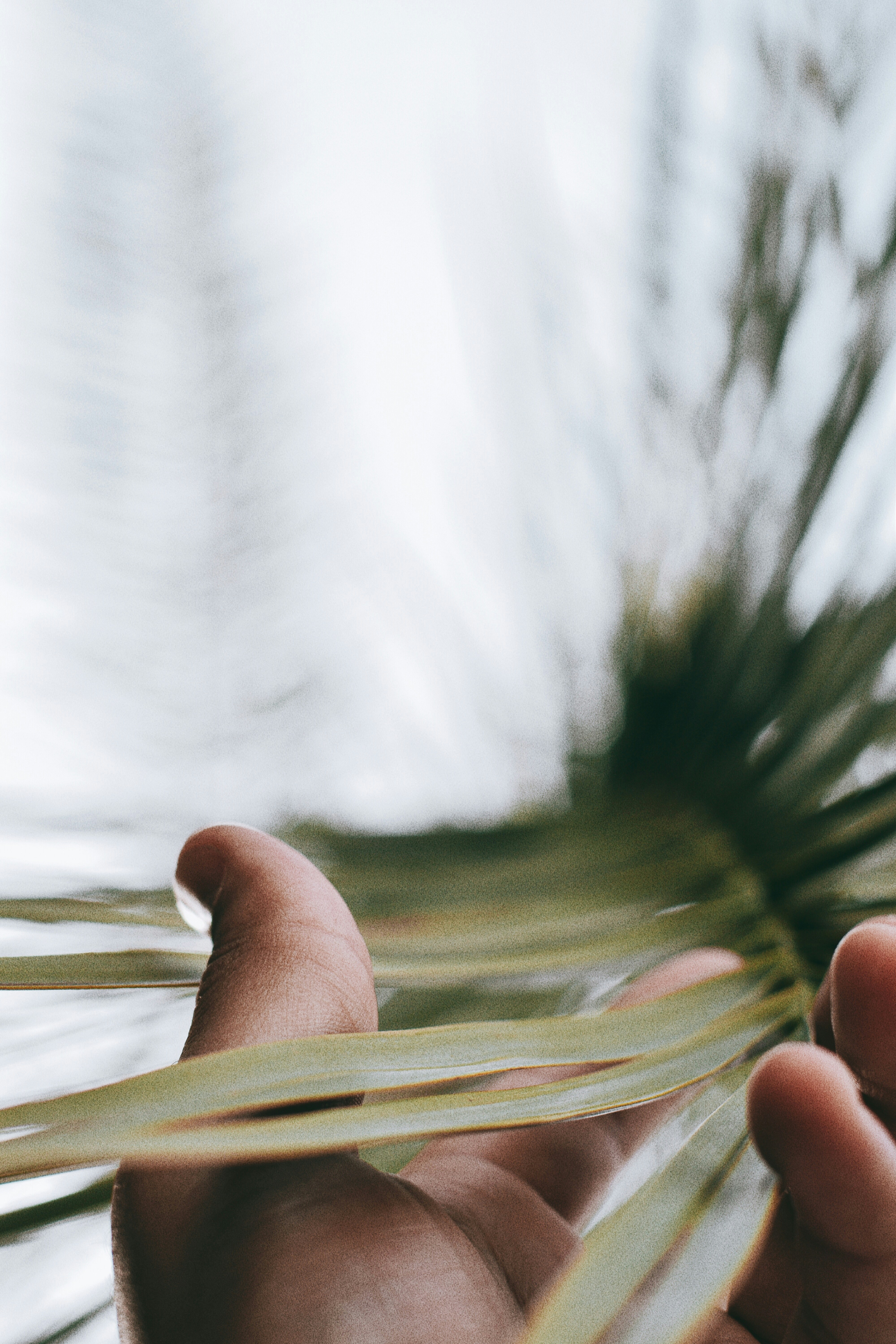 Photo by buco_balkanessi