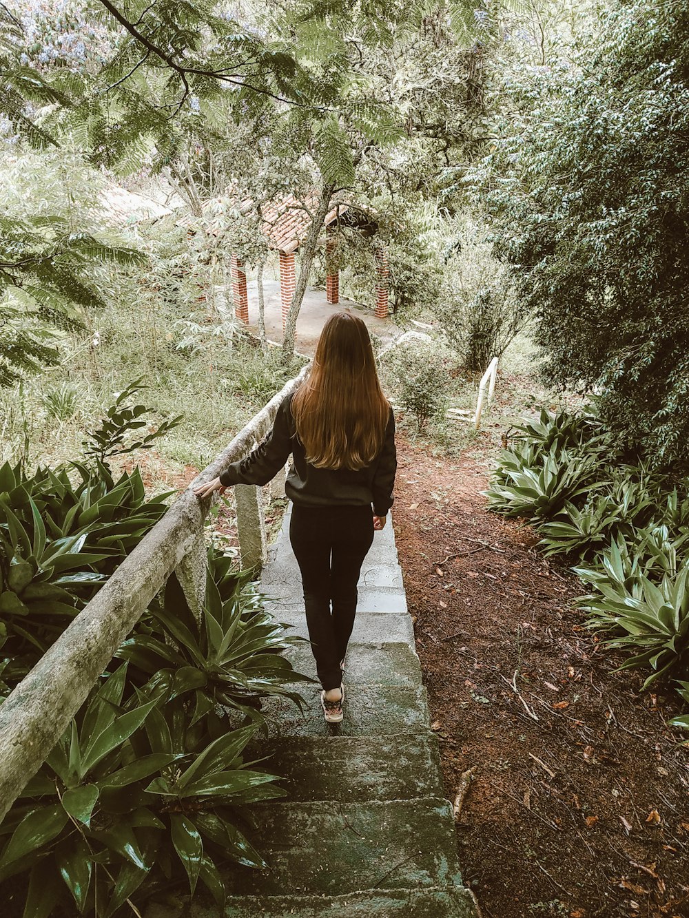검은 긴 소매 셔츠와 검은 바지를 입은 여자가 녹색 식물 사이의 길을 걷고 있다