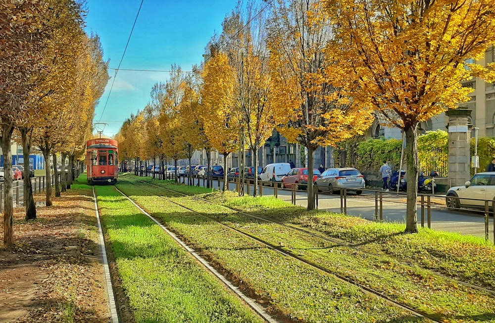 red train on rail road near trees during daytime