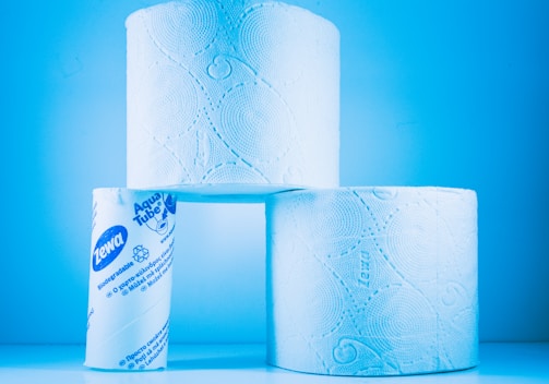 Three rolls of toilet paper are arranged creatively with two rolls placed on the bottom and one on top. The toilet paper has a decorative embossed pattern, and one roll displays labeling and environmental information.