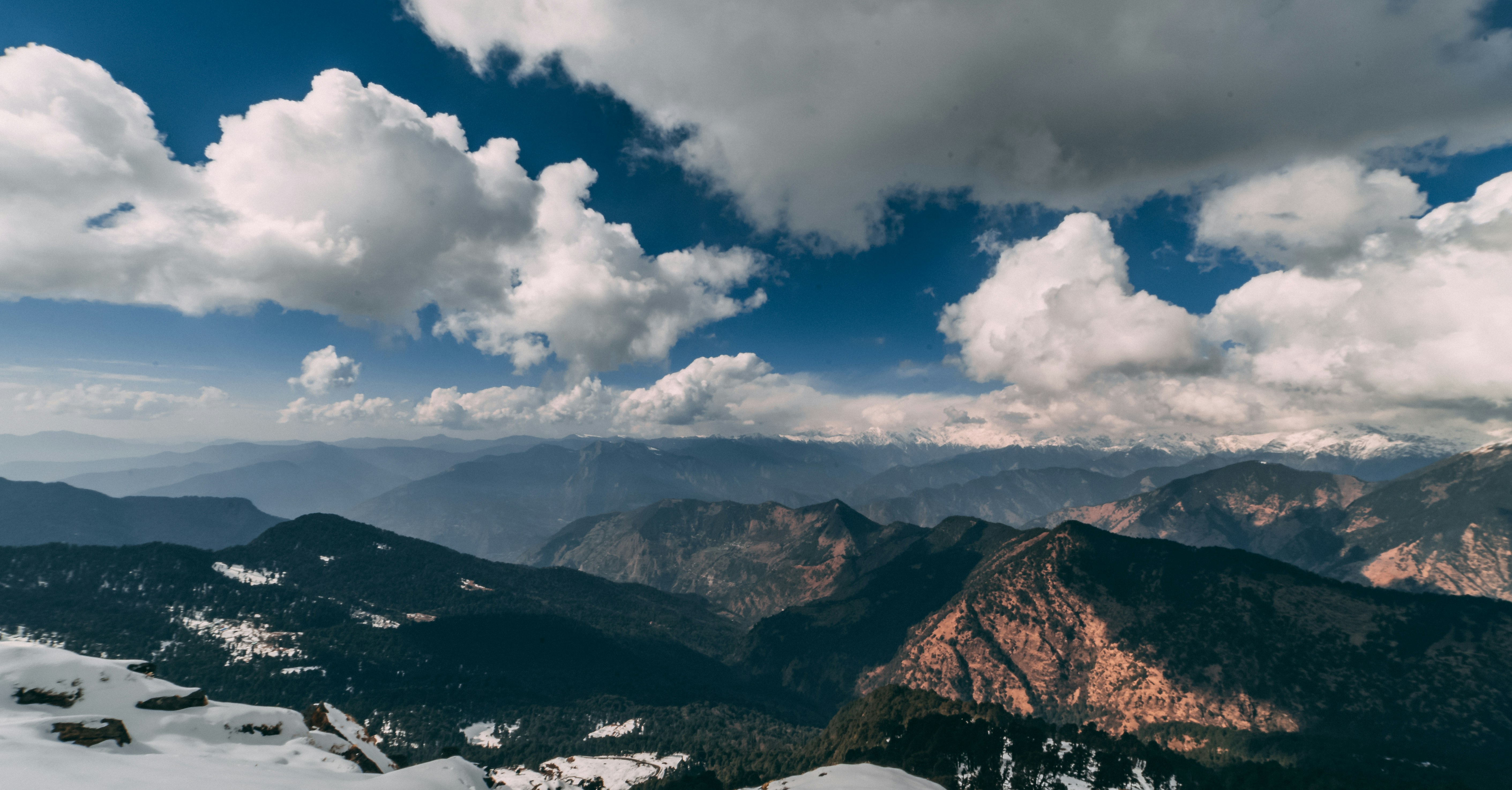 Photo by suicide_chewbacca