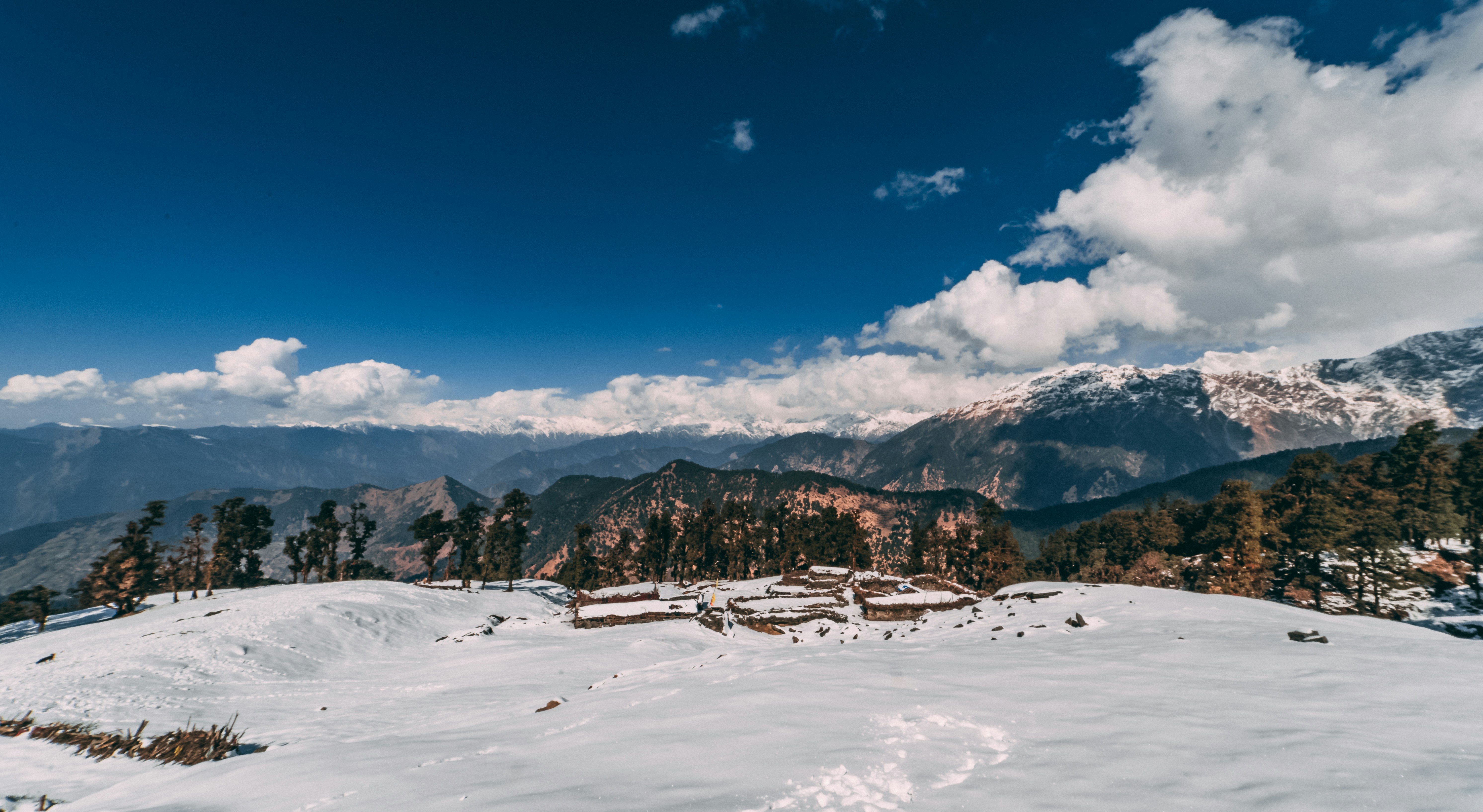 Photo by suicide_chewbacca