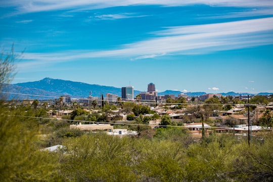 city buildings under blue sky during daytime in Tucson United States