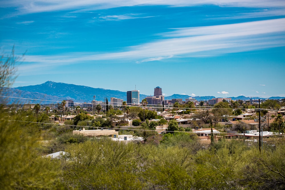 city buildings under blue sky during daytime