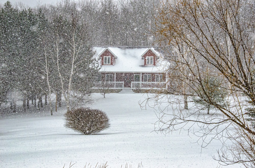 white and red house surrounded by bare trees during daytime