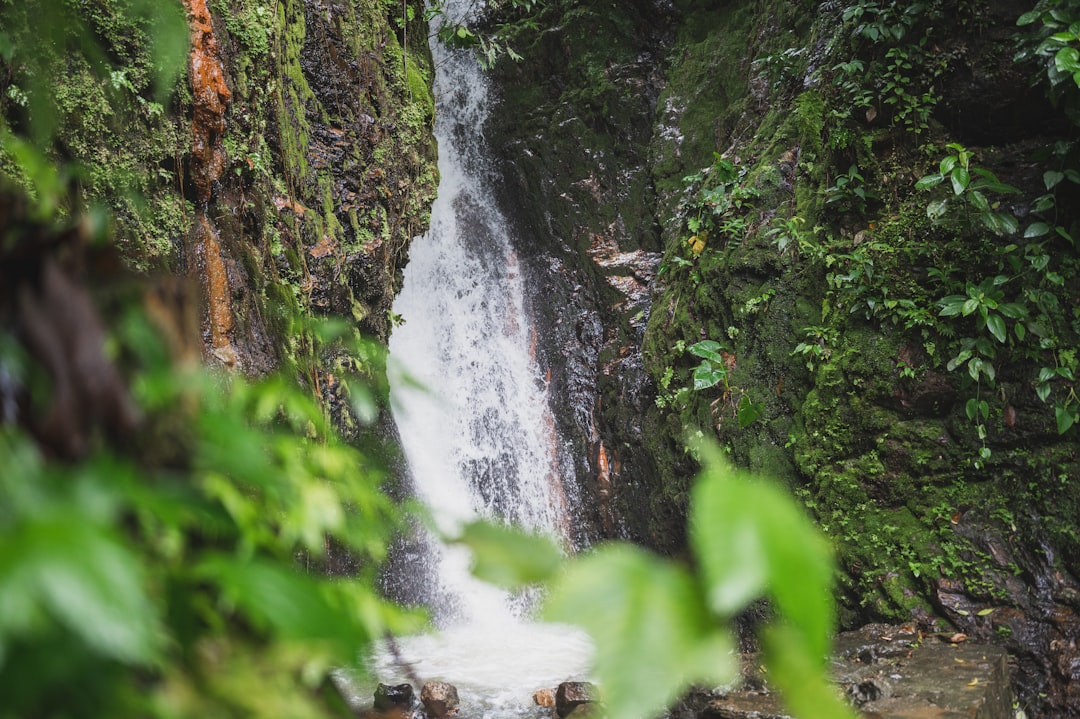 water falls in the middle of the forest