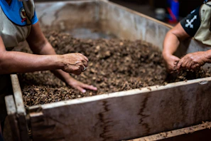 person holding brown soil in tilt shift lens