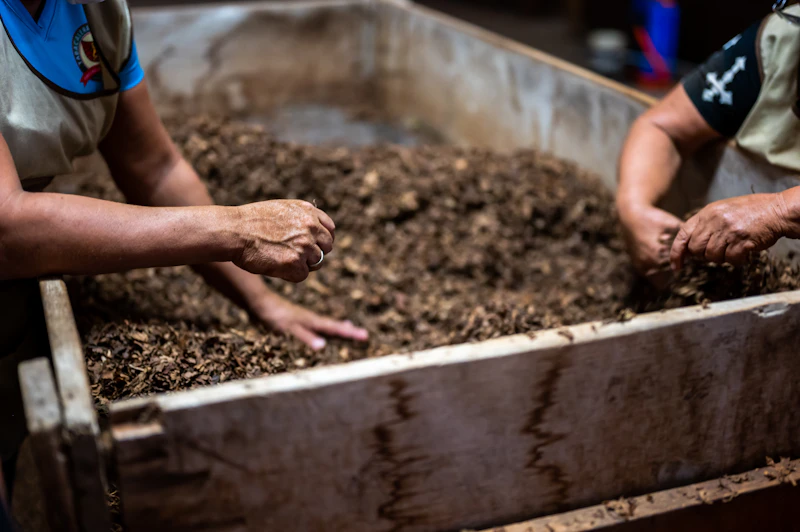 Representative photograph of Compost & Inputs