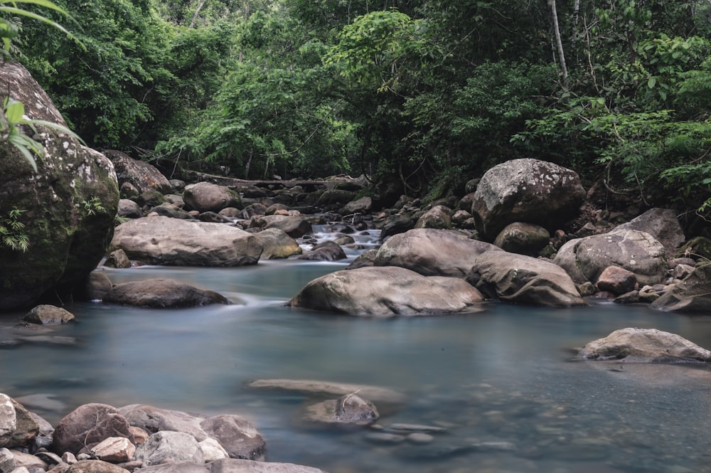 brown rocks on river during daytime