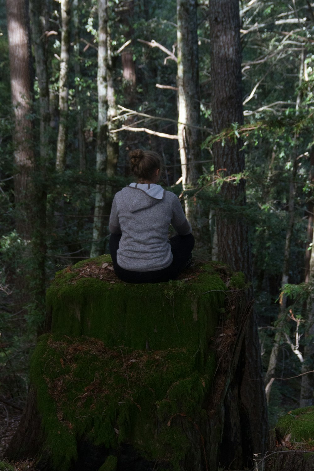 uomo in felpa con cappuccio grigia seduto sul tronco d'albero