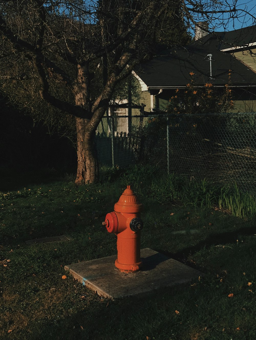 orange fire hydrant near gray metal fence