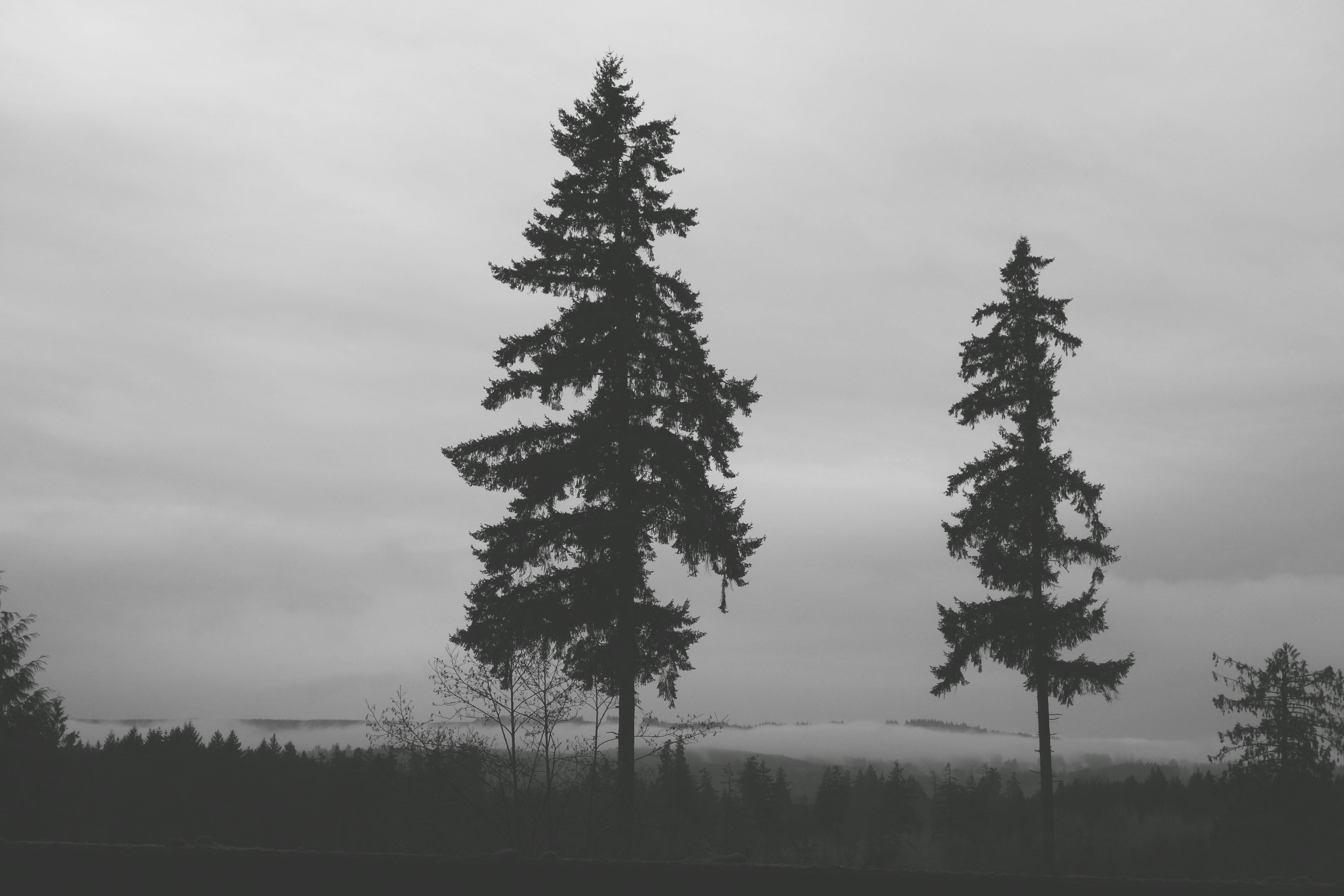 Photo by dq_silviaaa