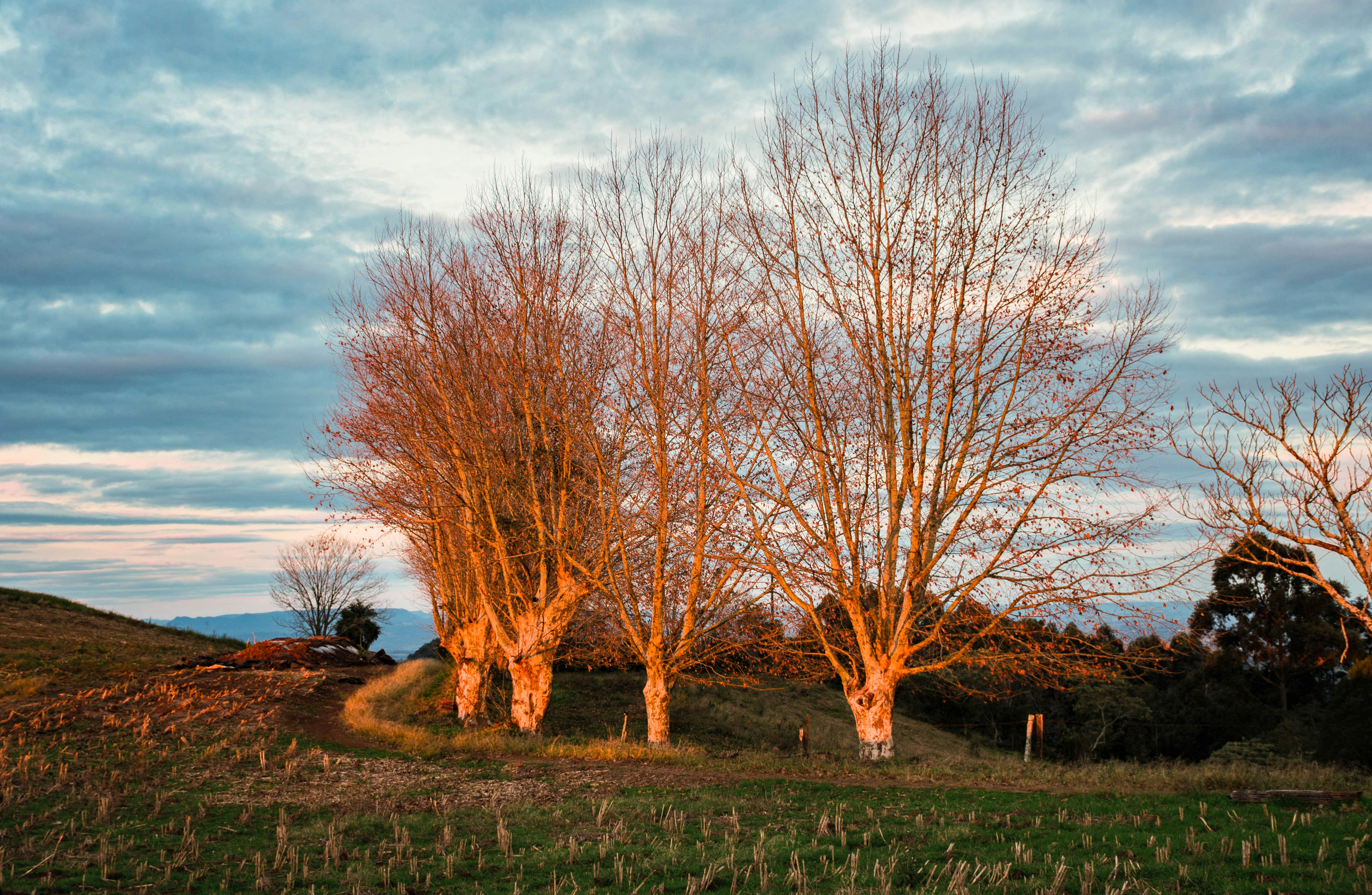 Photo by lucasgwendt