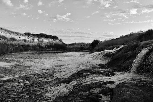 grayscale photo of river near trees in Tres Arroyos Argentina