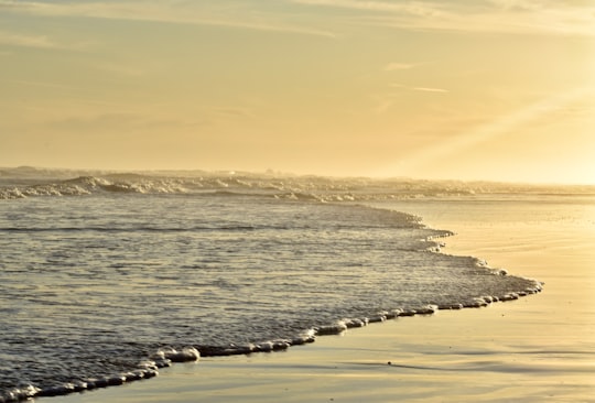 people on beach during sunset in Mar del Plata Argentina