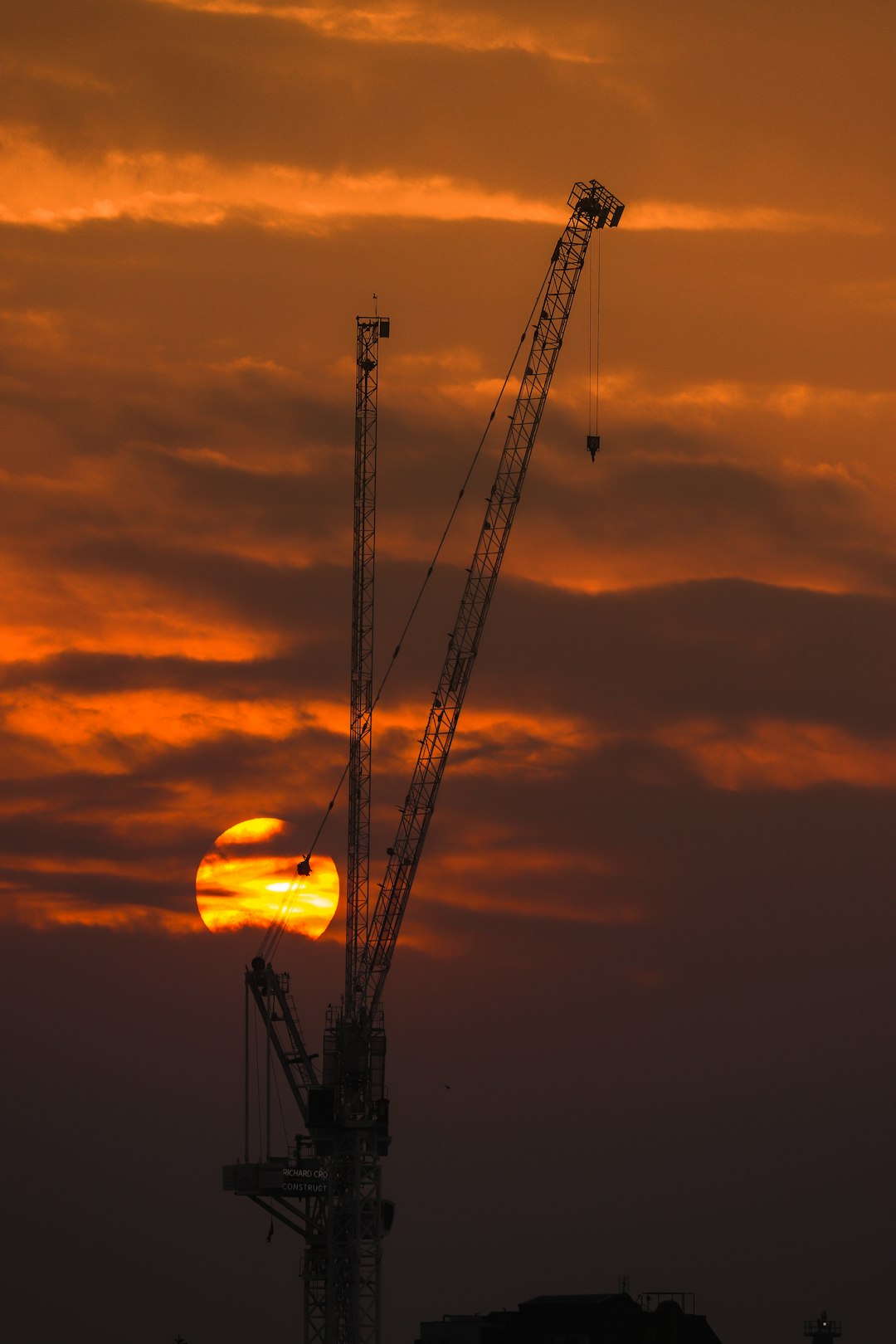 Crane sunset