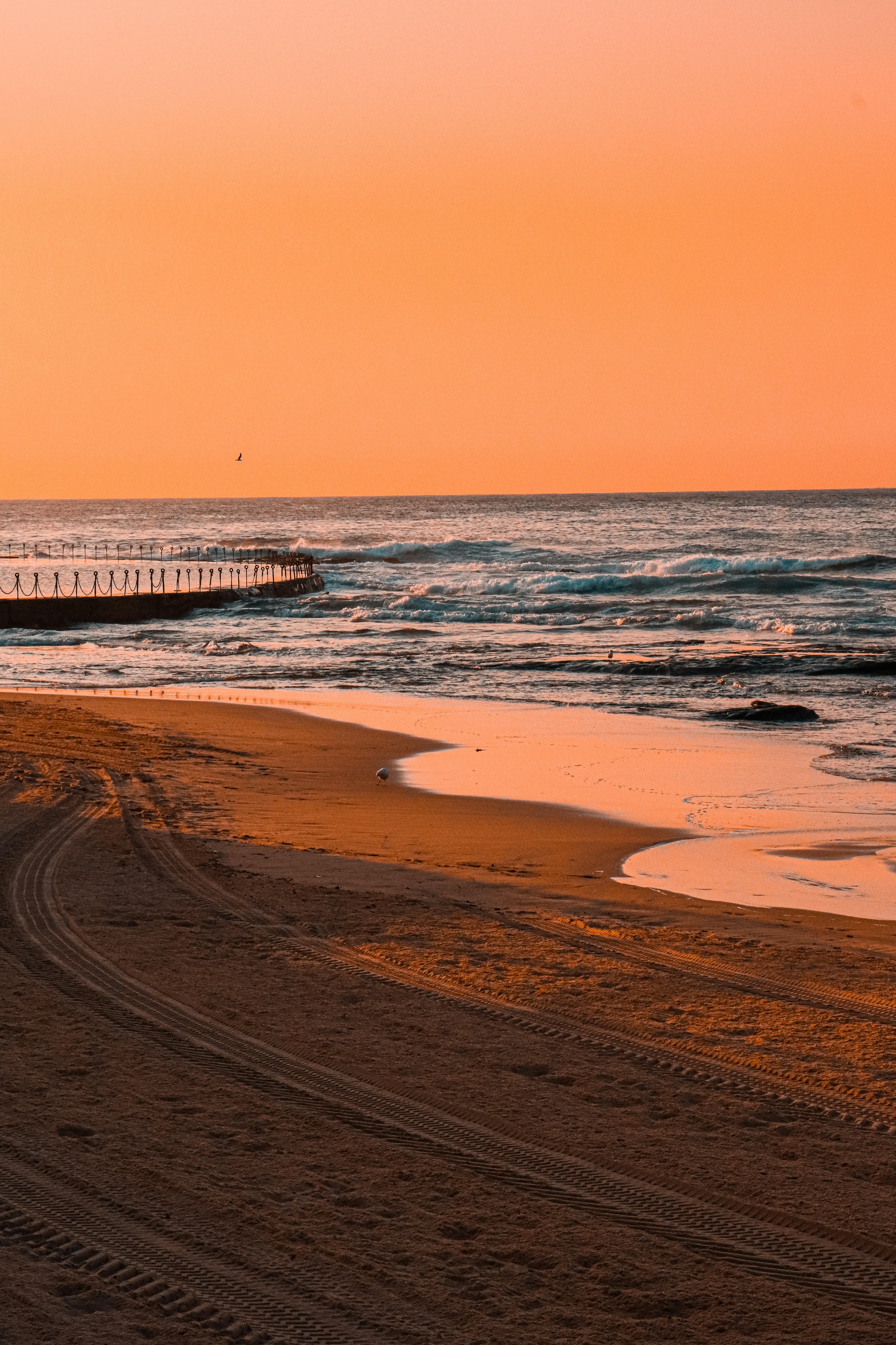 Photo by dsharpphotography