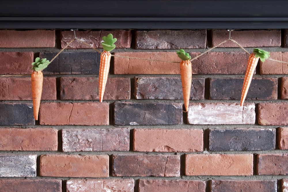 green and yellow plant on brown brick wall