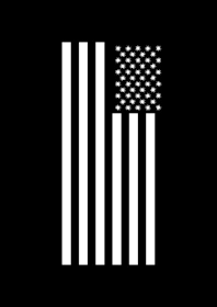 Veteran Edition shirt laid flat showing the strong patriotic design in black and gold.