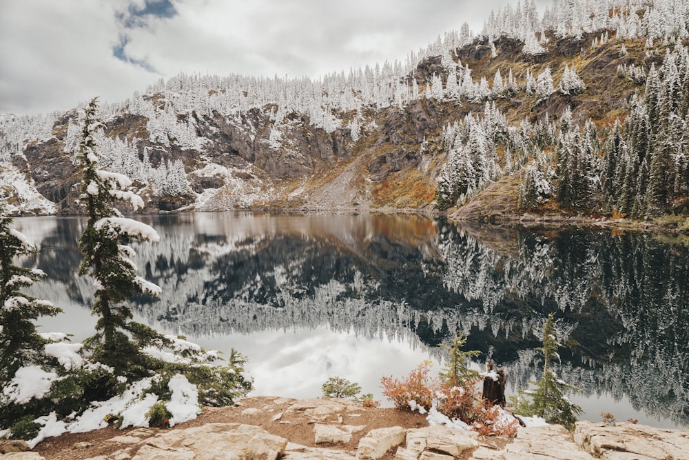 green trees near lake under white clouds during daytime