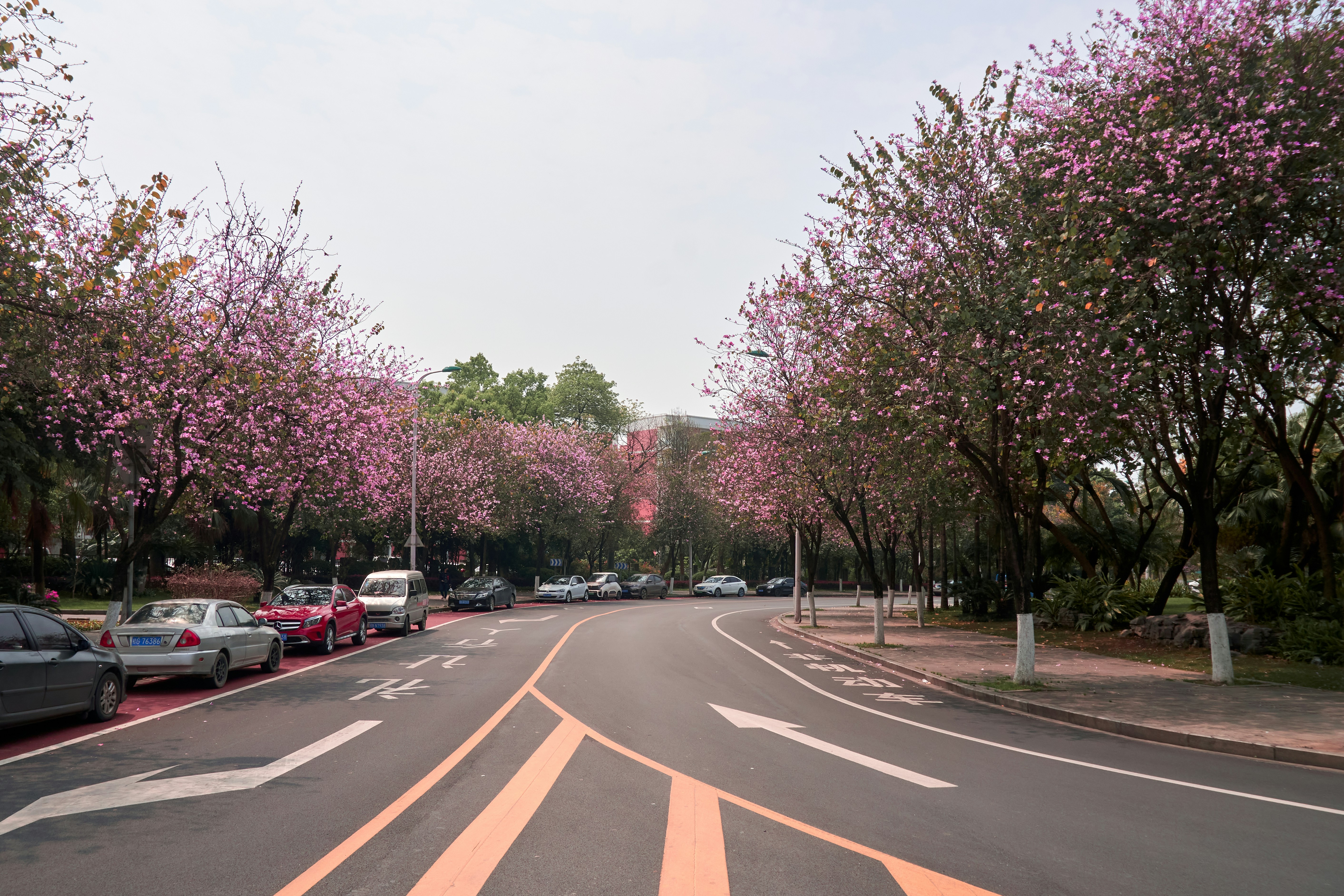 Liuzhou, China cover image